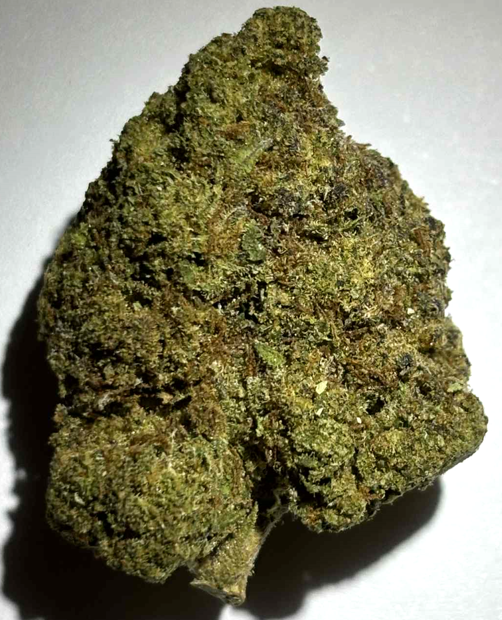 Rocky Mountain Blueberry Loudpack Jax THCa Flower Strain