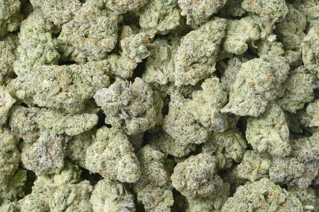 Blackberry Moonshine Cannabis Delivery North Carolina