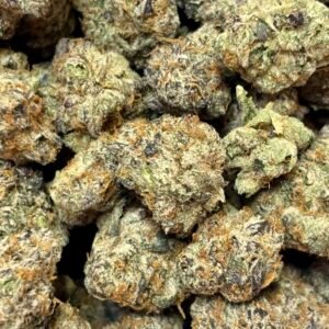 Motorhead Loudpack Jax THCa Strain Delivery