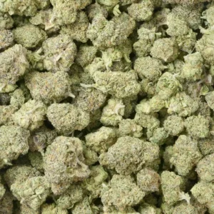 Purple Thai